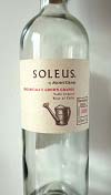 MONTGRAS SOLEUS Sauvignon Blanc 2008